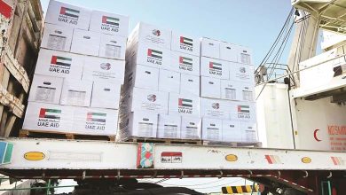 Les Émirats arabes unis continuent de fournir de l'aide dans la bande de Gaza
