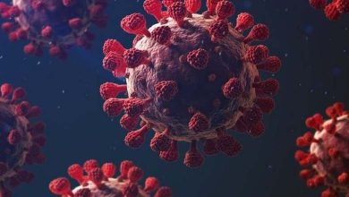 Surprise... Un virus touchant 'la plupart des gens' provoque une maladie grave 