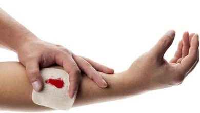 Une substance à base de 'crevettes' pour arrêter les saignements... Comment fonctionne-t-elle ?