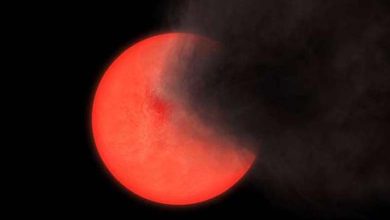 Les 'Anciens Fumeurs'... Un grand mystère habitant le 'chemin du tabac' 