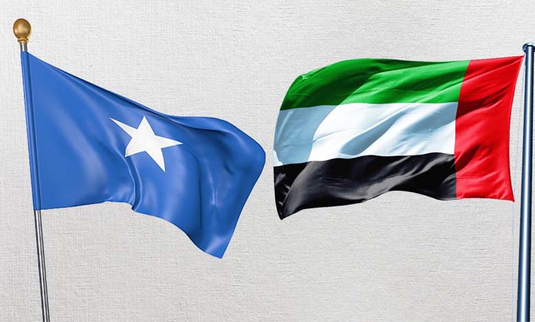 Efforts continus des EAU et de la Somalie pour confronter le mouvement terroriste Al-Shabaab - Détails