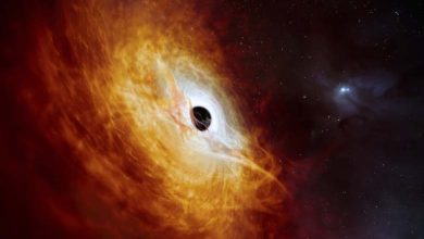 Les scientifiques découvrent une "étoile fausse" dévorant le Soleil quotidiennement