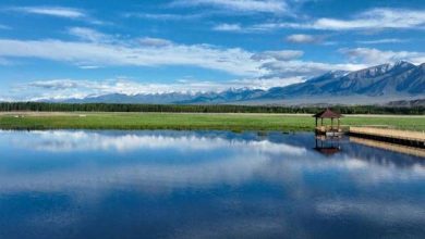 Journée mondiale des zones humides : la Chine en tête en Asie pour contenir le « trésor climatique »