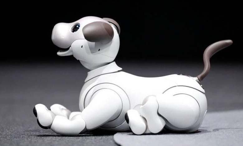 Des robots domestiques remplaceront-ils les chiens?