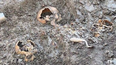 La Découverte du Plus Grand Site d'Enfouissement Collectif en Europe, 'La Tombe de la Peste'