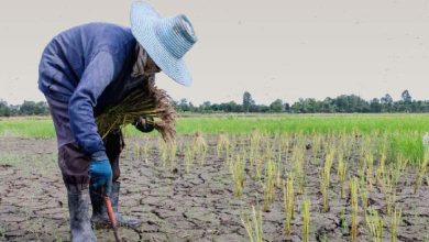 Impact négatif du changement climatique sur les femmes pauvres et les femmes au foyer