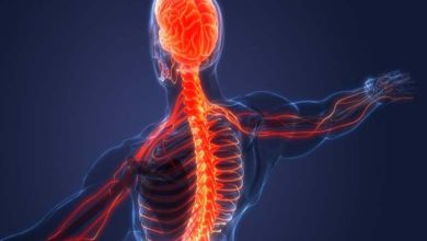 Le Système Nerveux... "Petits Tours" Résolvant de Grands Problèmes de Santé