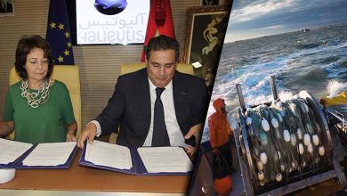 L’Espagne refuse l'annulation de l'accord de pêche entre Rabat et Bruxelles