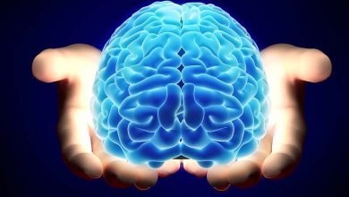 Est-ce que l'oubli est bon pour le cerveau?