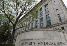 Implication de responsables de la prestigieuse université de Harvard dans la vente de "parties de cadavres"