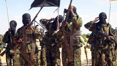 La Force Dénomée "Danab" en Somalie : De la Lutte contre le Terrorisme à des Accusations de Vol