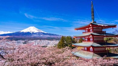 Une ville japonaise interdit aux touristes de voir le mont Fuji en raison de leur "perturbation"