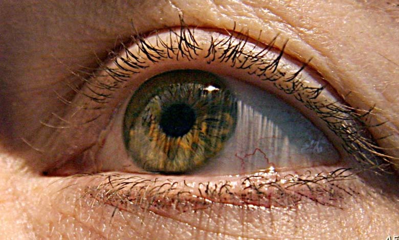 Étude : Les "Problèmes Oculaires" Liés aux Symptômes Précoces de Démence