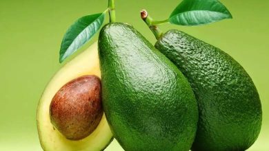 L'avocat menacé d'extinction