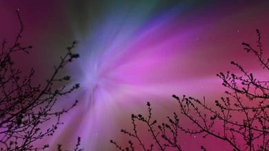 Les Lumières Polaires Émerveillent les Habitants de l'Amérique Latine