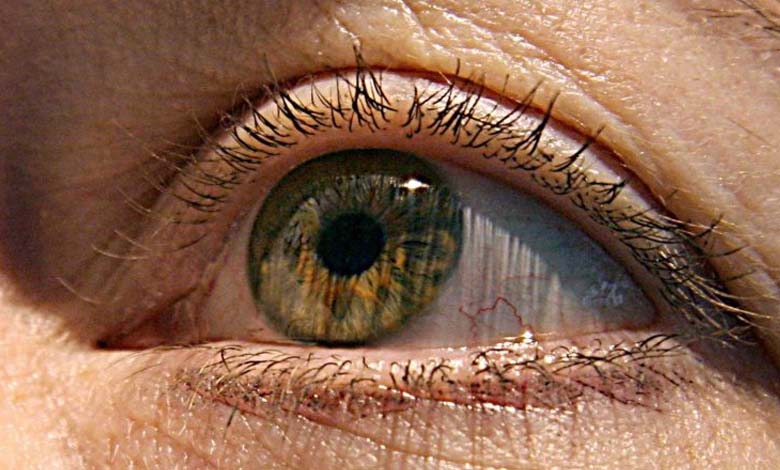L'œil : l'organe le plus affecté par la hausse des températures