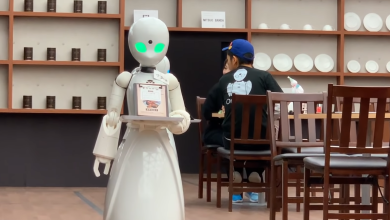 Une étude révèle que les enfants font plus confiance aux « robots » qu’aux humains
