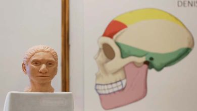 Une population isolée depuis des milliers d'années développe une mutation génétique