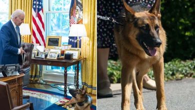 Une républicaine suggère d'éliminer le chien de Biden