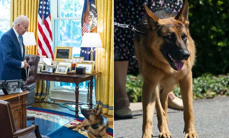 Une républicaine suggère d'éliminer le chien de Biden