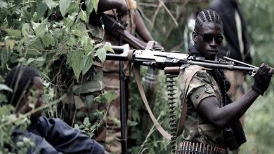 "Terre d'immigration et de jihad" : Daech transforme l'Afrique en un nouveau front du terrorisme international