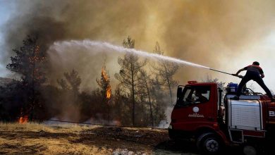 Cinq Morts et des Douzaines de Blessés dans des Incendies de Forêt en Turquie