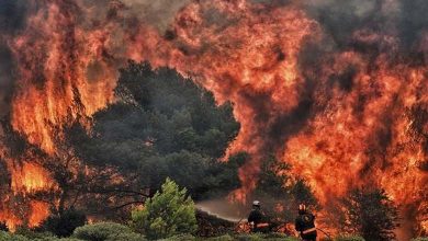 Des vents violents alimentent de nouveaux incendies de forêt en Grèce