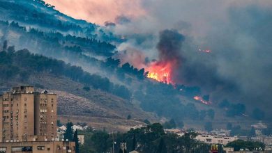 Incendies de forêts en Israël : Quel est le lien avec le Hezbollah et quelles sont les conséquences ?