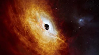 Le Réveil d'un Trou Noir : Plus Grand que le Soleil par Millions de Fois