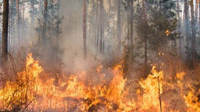 Le monde "pas prêt" à faire face aux incendies