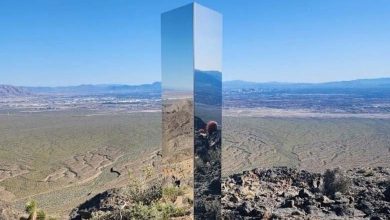 Les "Structures Mystérieuses" Relancent la Théorie des "Extraterrestres"