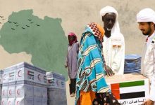 Les EAU, une puissance montante en Afrique : Efforts humanitaires, de développement et diplomatiques de premier plan