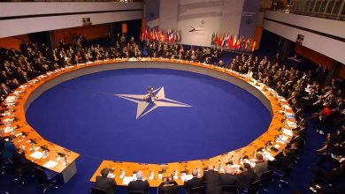 Pays arabes, dont les EAU et l'Égypte, invités à la réunion de l'OTAN à Washington