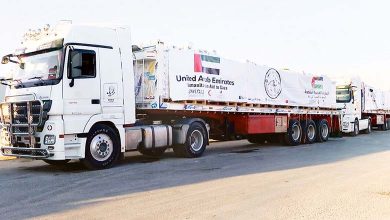 Caravane de l'Espoir... Des aides des EAU arrivent à Gaza pour la première fois depuis la fermeture du passage de Rafah