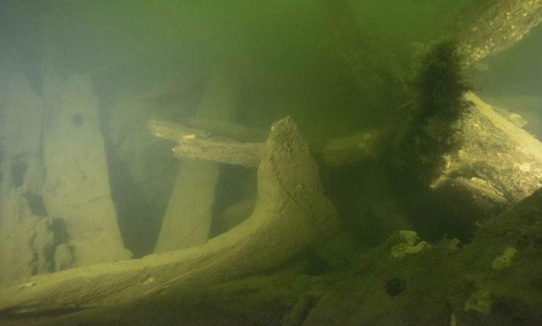 Découverte d'une épave du XIXe siècle contenant 100 bouteilles de champagne