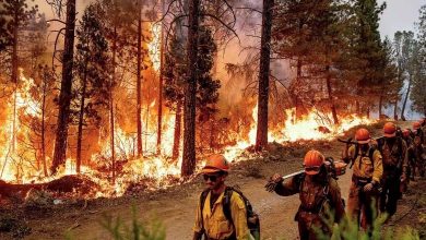 Efforts intensifs pour contenir un incendie de forêt dévastateur en Californie