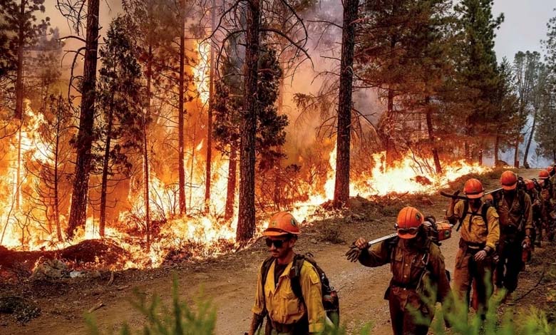 Efforts intensifs pour contenir un incendie de forêt dévastateur en Californie