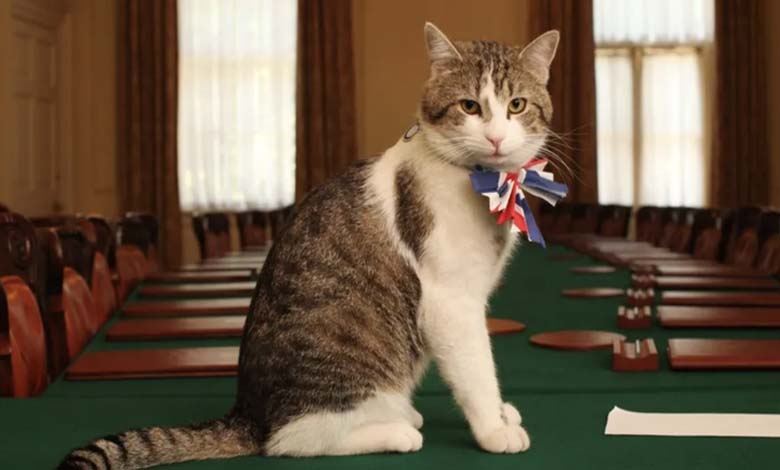 « Larry » n'est pas le seul... Les chats chanceux sur les sièges du pouvoir