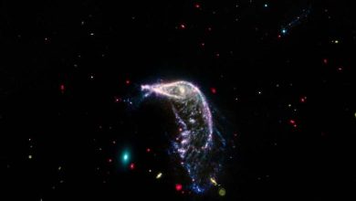 Le Pingouin et l'Œuf : la NASA publie des images époustouflantes de la fusion de deux galaxies