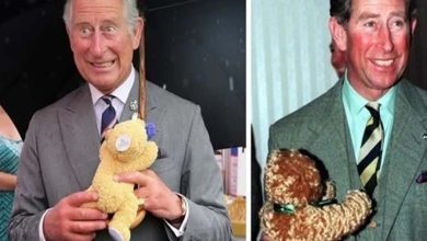 Le roi Charles met en vente un "ours Paddington" pour 320 dollars