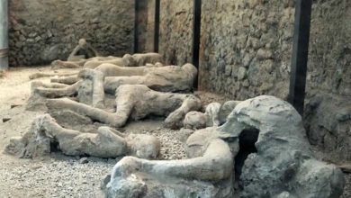 Révélations Fascinantes sur la Ville du Feu et de l'Enfer, Pompéi