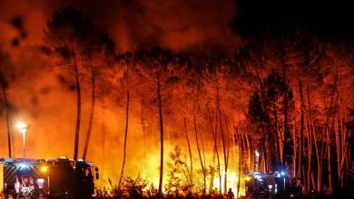 Un incendie massif ravage une ville du sud de l'Italie... Évacuation de milliers de touristes