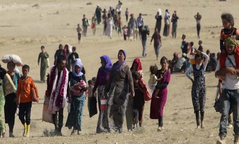 Après une décennie de génocide... la souffrance des Yézidis n'est pas terminée