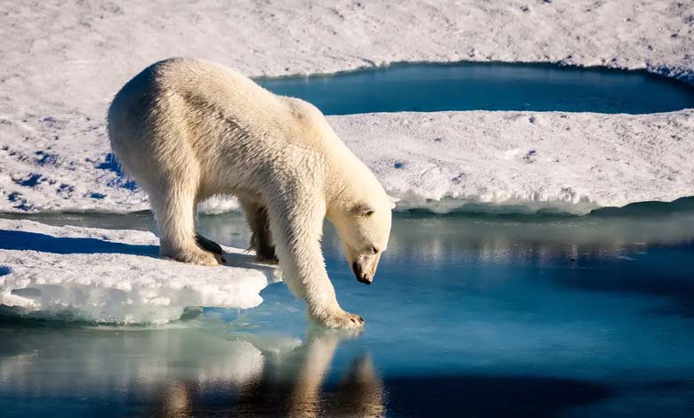 Températures "Sans Précédent" en Antarctique Augmentent de 10 Degrés Celsius