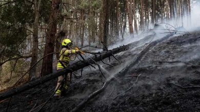 Colombie : Les incendies de forêt ravagent 11 000 hectares