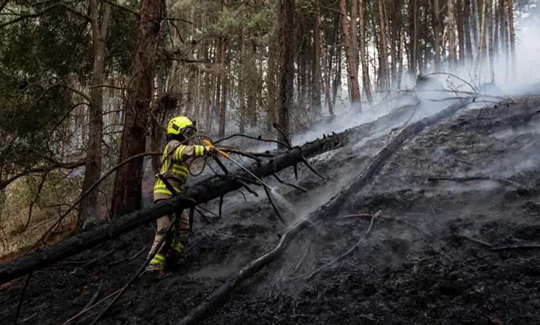 Colombie : Les incendies de forêt ravagent 11 000 hectares