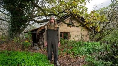 Dans une cabane perchée... Un octogénaire mène une vie "inhabituelle" 