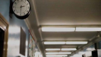 Dans une école, une élève attaque ses camarades au couteau en Tchéquie