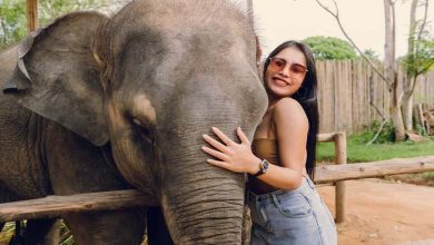 Des Millions de Visiteurs Attirés : Le Zoo Thaïlandais Capitalise sur la Renommée de 'Moo Deng'