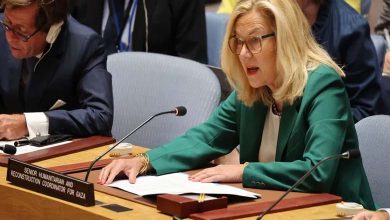 Devant le Conseil de sécurité : Louange des Nations Unies pour le rôle des Émirats dans l'évacuation des malades de Gaza